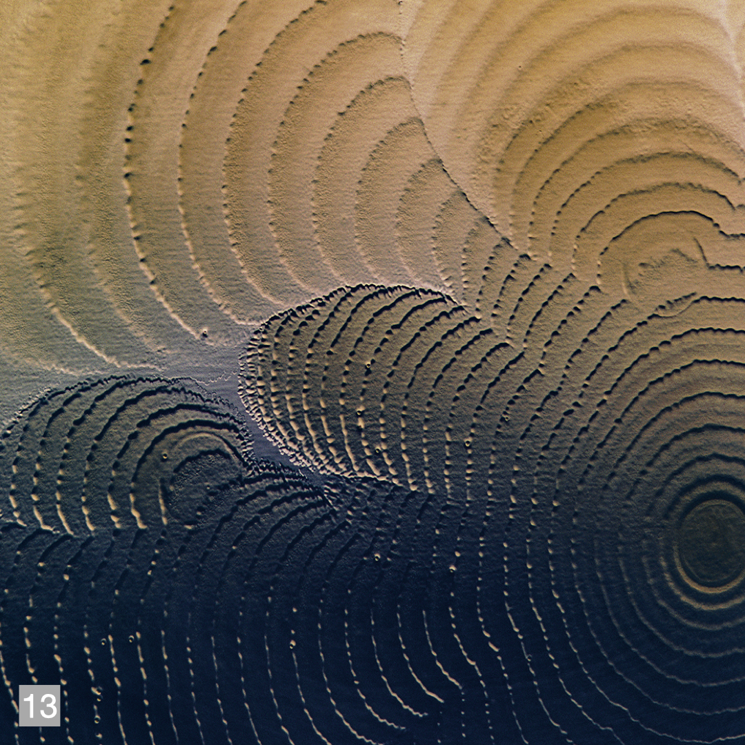 Migrating Bacteria