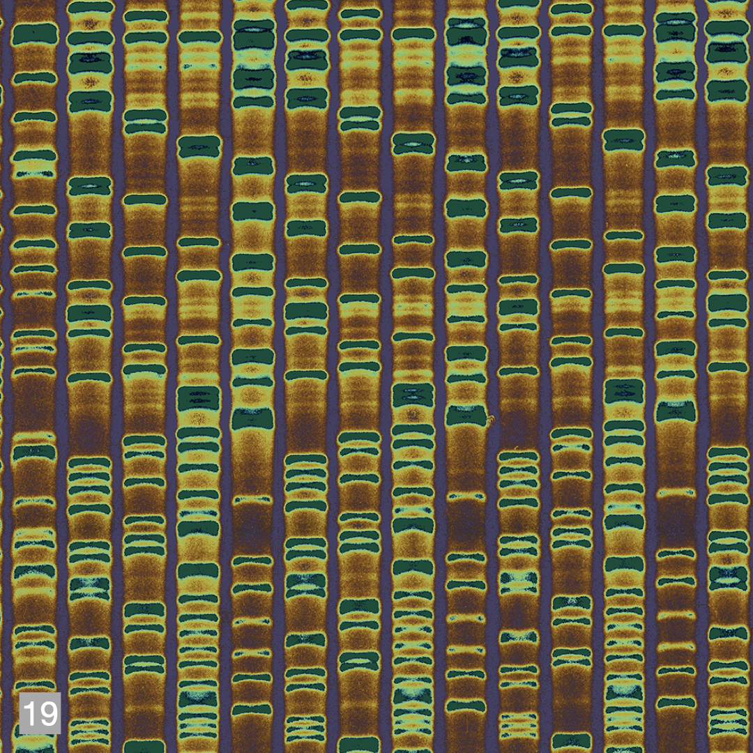 Analysis of DNA