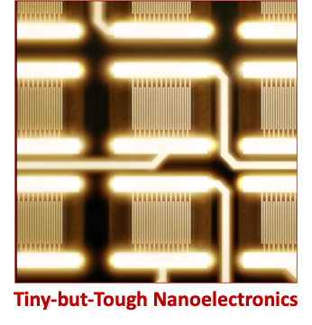 tiny but tough nanoelectronics