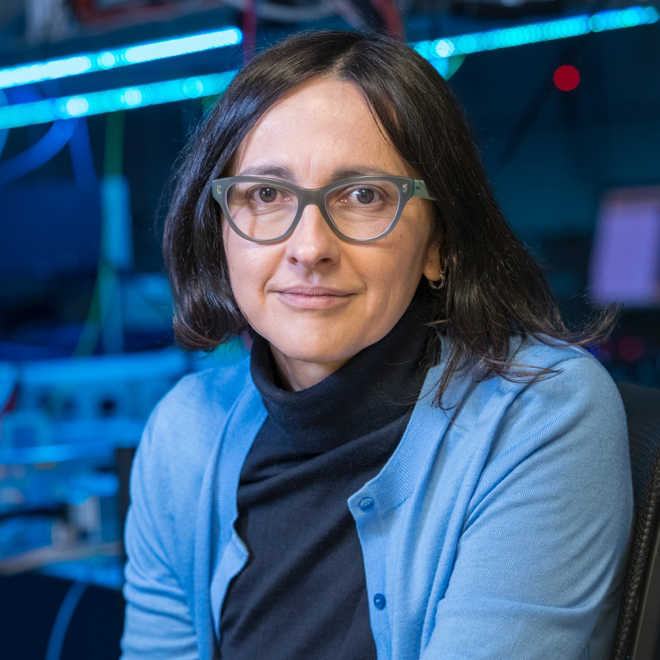 Jelena Vučković, Jensen Huang Professor in Global Leadership in the School of Engineering, Professor of Electrical Engineering, and by courtesy of Applied Physics, Stanford University