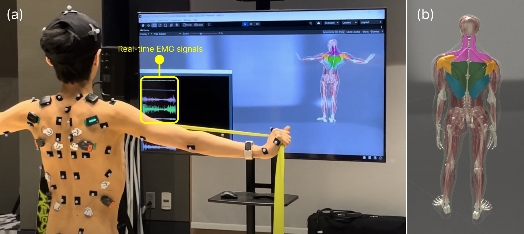 A person doing stretches with motion tracking sensors on their back.