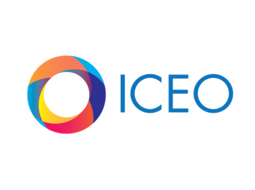 Institute Community and Equity Officer (ICEO)