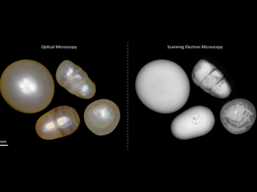 Scans of pearls using optical and electron microscopy